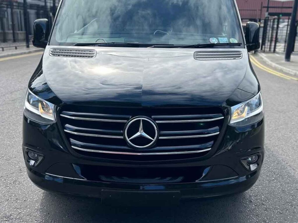 paint correction buffing polish car paint